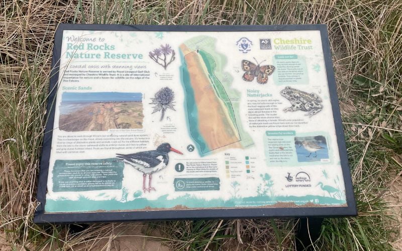 Bird Life at Red Rocks Nature Reserve.