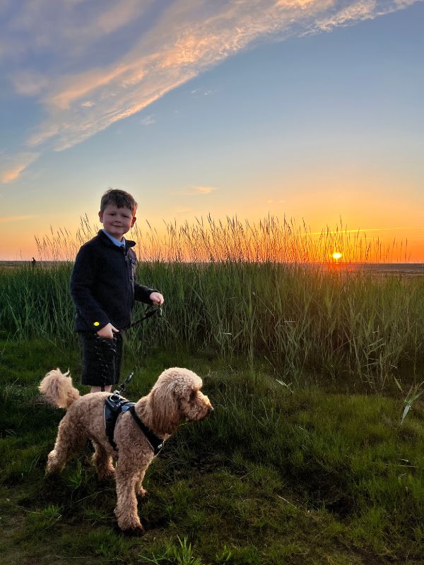 Hoylake Beach little boy walking a dog at sunset. Hoylake Beach little boy walking a dog at sunset.