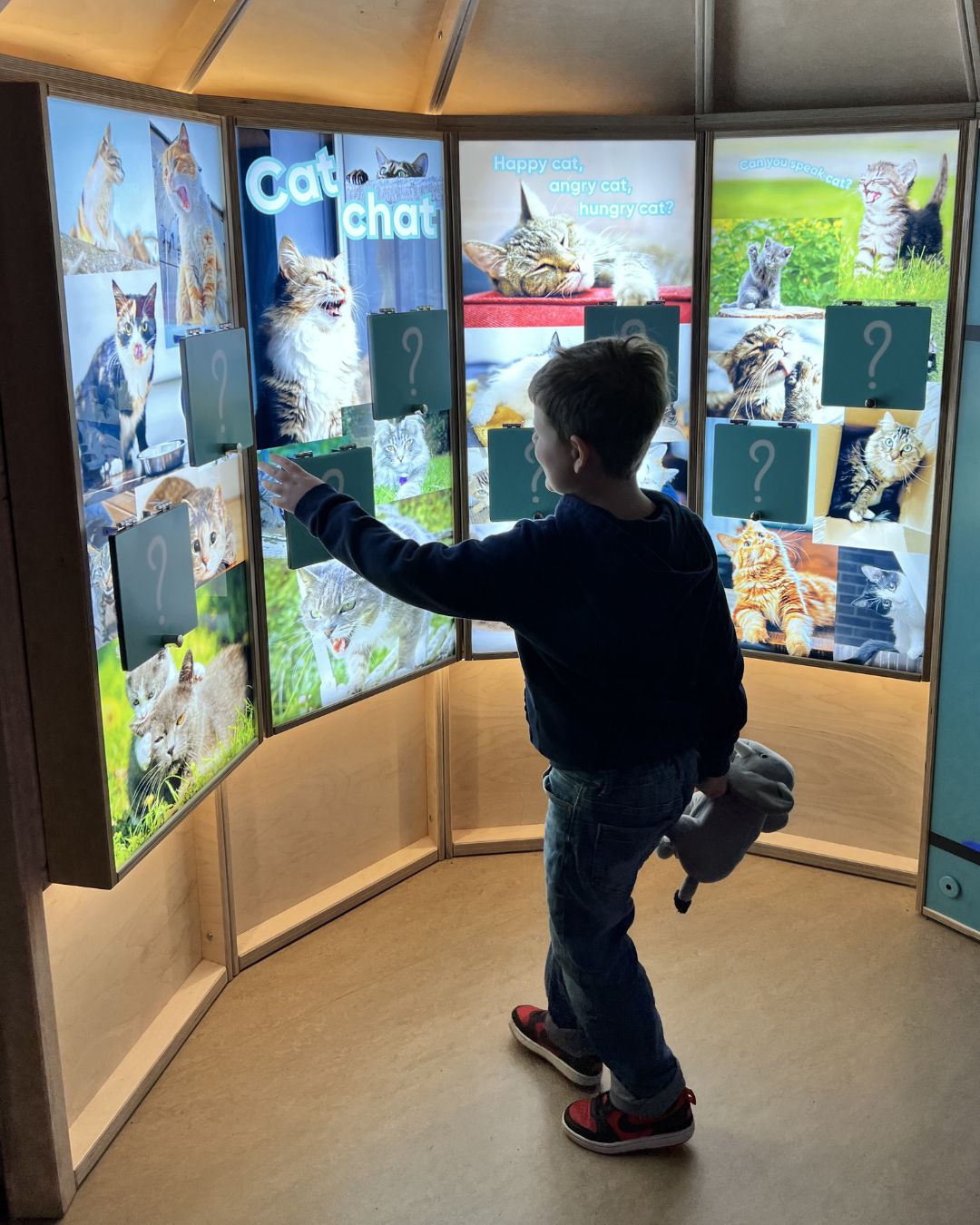 Eureka! Science + Discovery child in cat section having fun and learning.