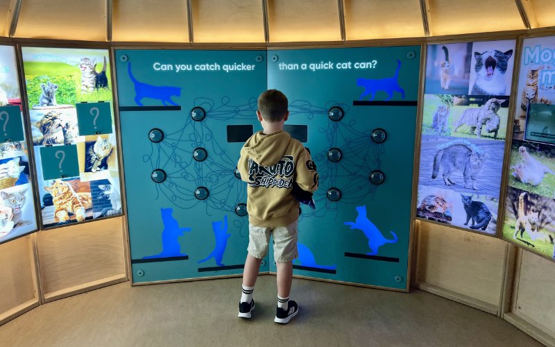 Eureka! Science and Discovery in Wirral. Catch quicker than a cat game.
